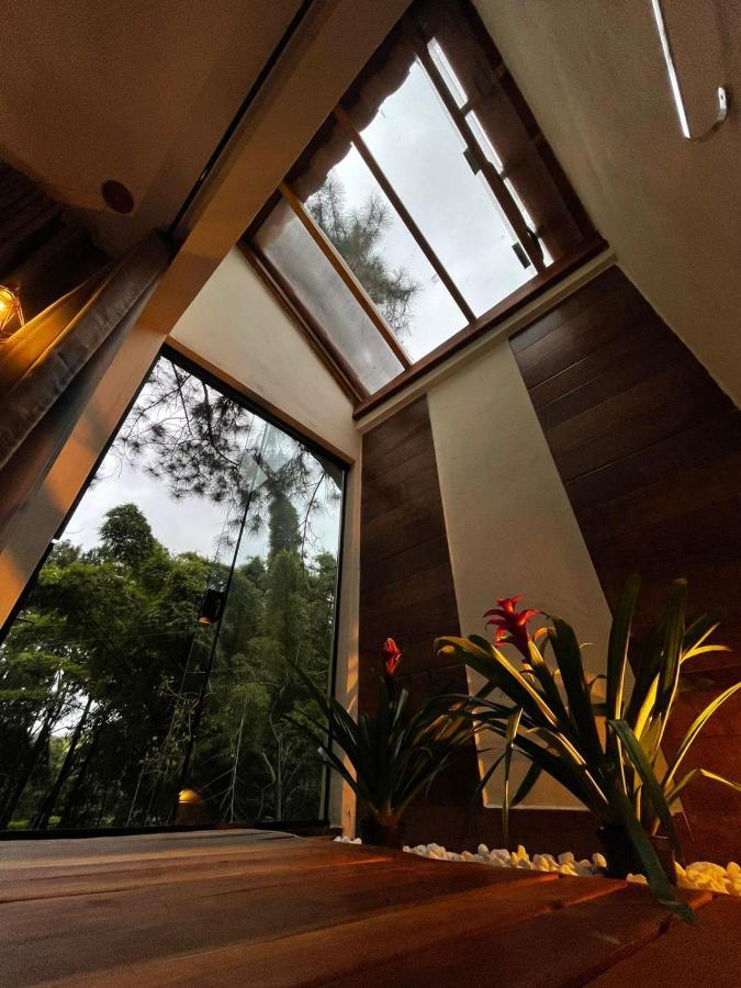 Inn Vale Orquídeas